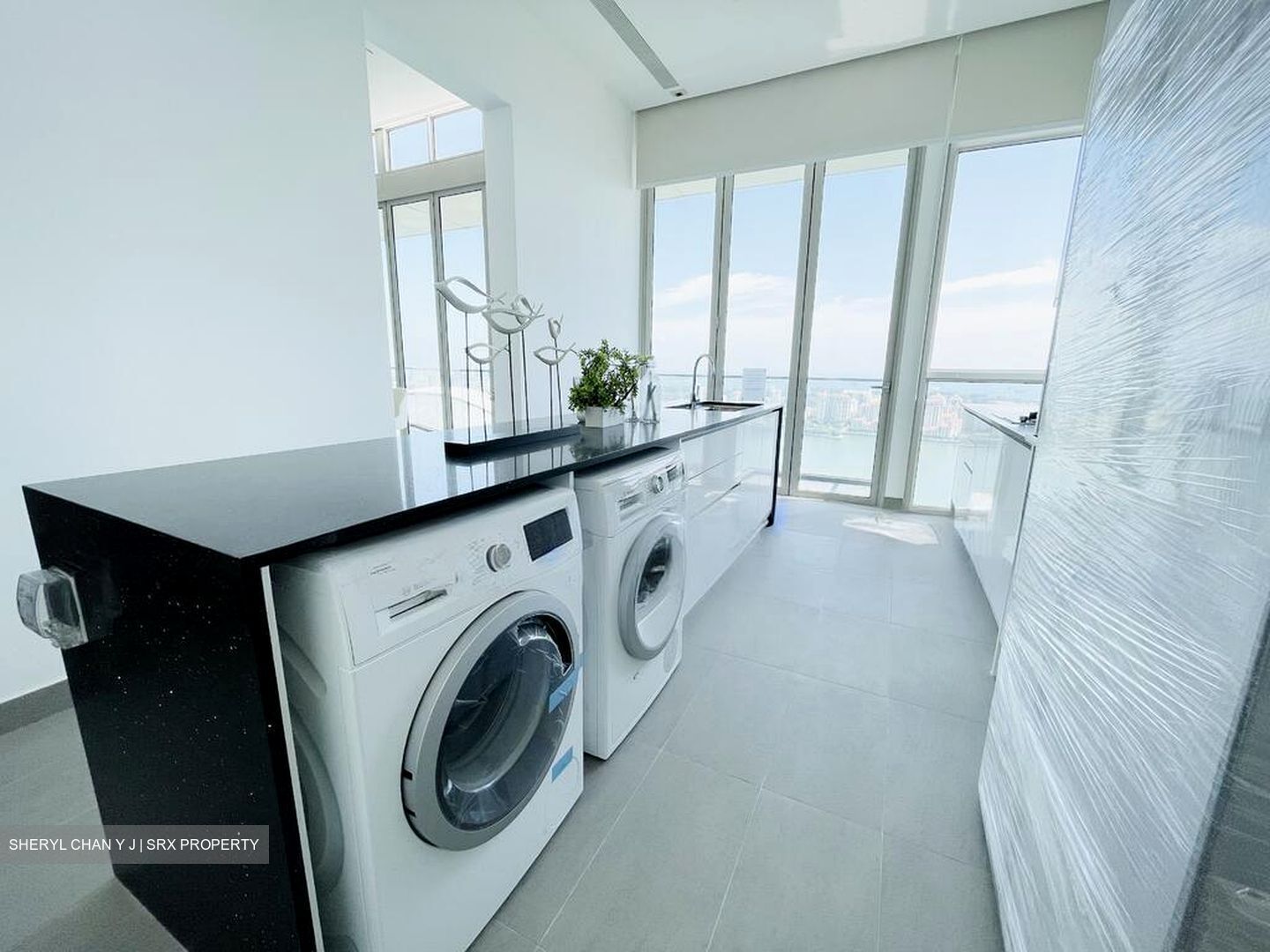 Kallang Riverside (D12), Apartment #499304081